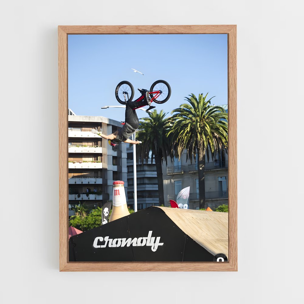 Poster BMX Stunt Master (vue 4)